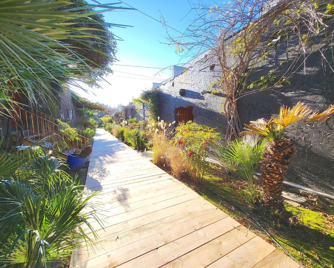 Bandol - Residence Premium Jardin, Piscine Et Garage Kültér fotó